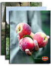 Del Monte